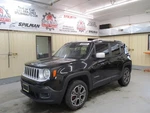 (local Pickup Only) Renegade 2017 Rocker Panel Moulding 1738759. Fixed Price $149.99.