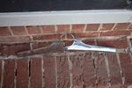 1949 1950 Chrysler Hood Front Edge Trim Molding Chrome #1299365. Fixed Price $55.00.