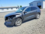 Right Front Door Moulding Oem 2020 Ford Escape LJ6Z-7820878-AB. Fixed Price $193.00.
