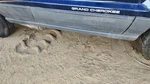 2004 Jeep Grand Cherokee Passenger Right Lower Rocker Panel Moulding Side Skirt. Fixed Price $427.43.