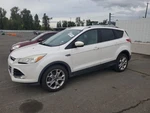 Left Front Door Moulding Oem 2014 Ford Escape. Fixed Price $125.00.