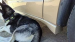 99-05 Pontiac Grand Am Passenger Right Lower Rocker Panel Moulding Side Skirt. Fixed Price $406.05.