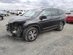 Left Quarter Moulding Oem 2016 Honda Pilot. Fixed Price $100.00.